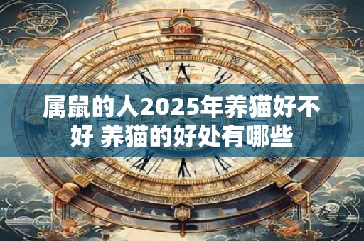 属鼠的人2025年养猫好不好 养猫的好处有哪些