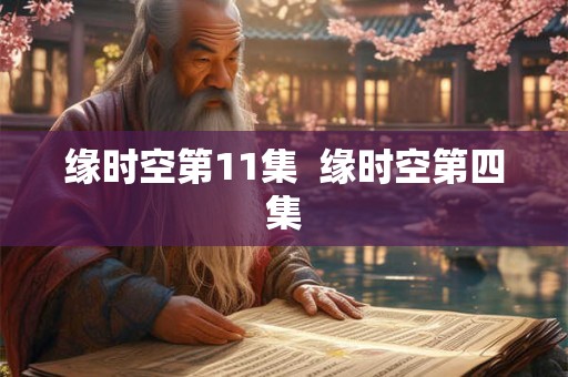 缘时空第11集  缘时空第四集