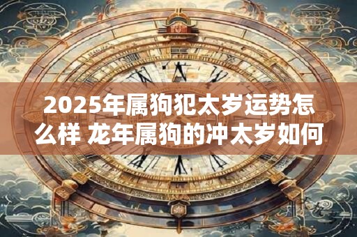 2025年属狗犯太岁运势怎么样 龙年属狗的冲太岁如何破解