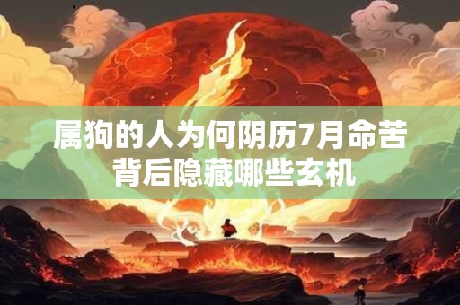属狗的人为何阴历7月命苦 背后隐藏哪些玄机