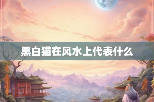 黑白猫在风水上代表什么
