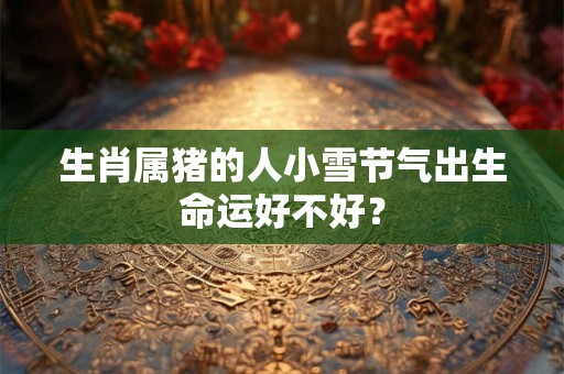 生肖属猪的人小雪节气出生命运好不好？