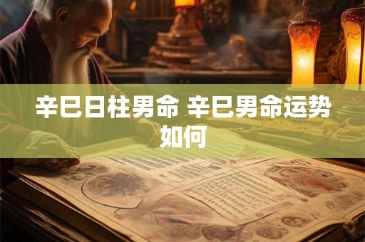 辛巳日柱男命 辛巳男命运势如何 辛巳日柱男命 辛巳男命运势如何