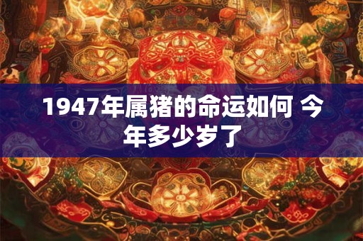 1947年属猪的命运如何 今年多少岁了