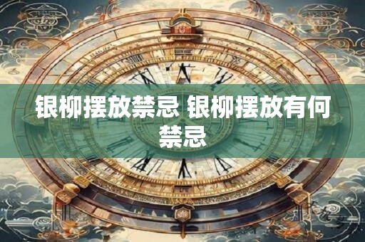 银柳摆放禁忌 银柳摆放有何禁忌