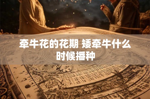 牵牛花的花期 矮牵牛什么时候播种