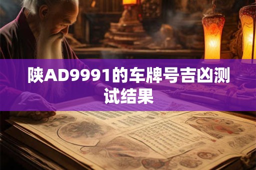 陕AD9991的车牌号吉凶测试结果