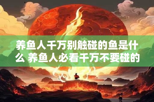 养鱼人千万别触碰的鱼是什么 养鱼人必看千万不要碰的鱼是什么 养鱼人千万别触碰的鱼是什么 养鱼人必看千万不要碰的鱼是什么