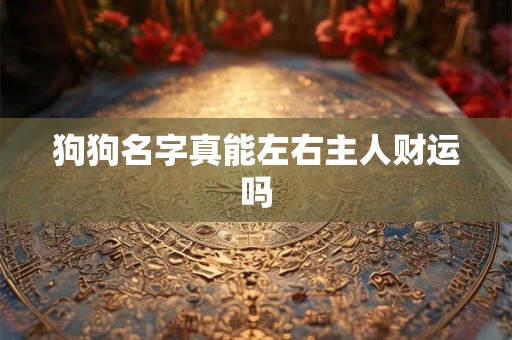 狗狗名字真能左右主人财运吗
