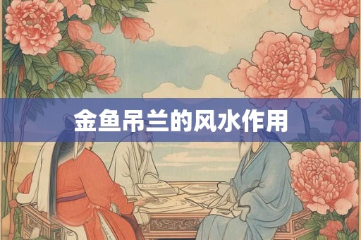 金鱼吊兰的风水作用