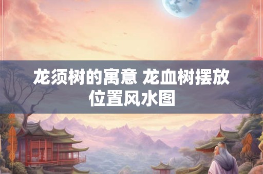龙须树的寓意 龙血树摆放位置风水图