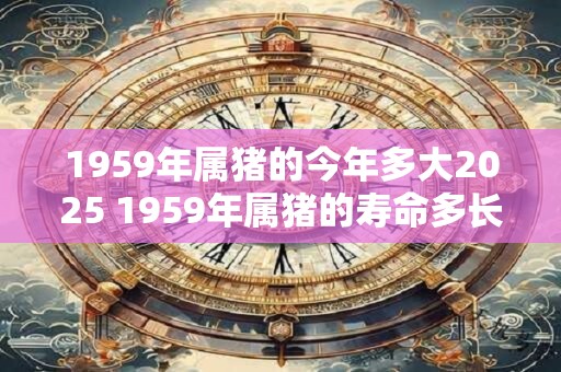 1959年属猪的今年多大2025 1959年属猪的寿命多长
