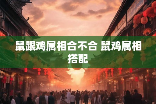 鼠跟鸡属相合不合 鼠鸡属相搭配
