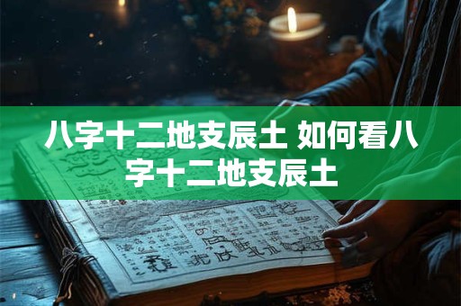 八字十二地支辰土 如何看八字十二地支辰土