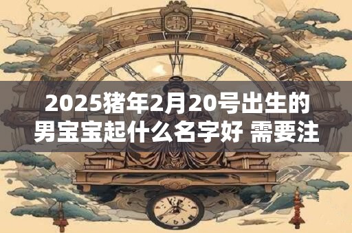 2025猪年2月20号出生的男宝宝起什么名字好 需要注意什么
