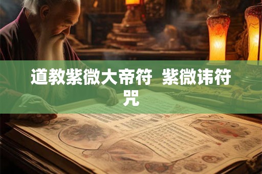 道教紫微大帝符  紫微讳符咒