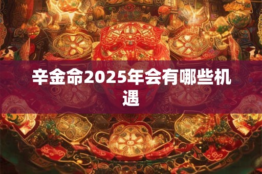 辛金命2025年会有哪些机遇