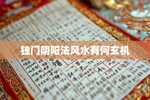 独门阴阳法风水有何玄机
