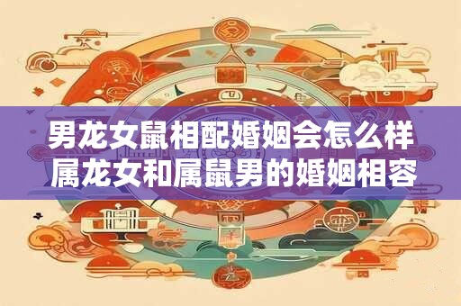 男龙女鼠相配婚姻会怎么样 属龙女和属鼠男的婚姻相容性解析