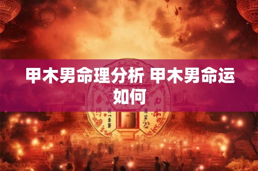 甲木男命理分析 甲木男命运如何