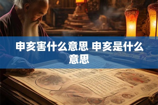 申亥害什么意思 申亥是什么意思