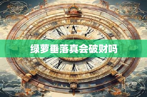 绿萝垂落真会破财吗