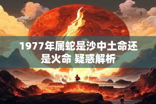 1977年属蛇是沙中土命还是火命 疑惑解析