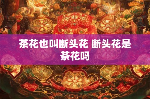 茶花也叫断头花 断头花是茶花吗