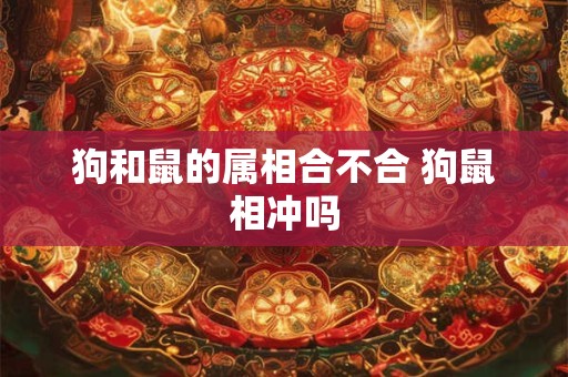 狗和鼠的属相合不合 狗鼠相冲吗
