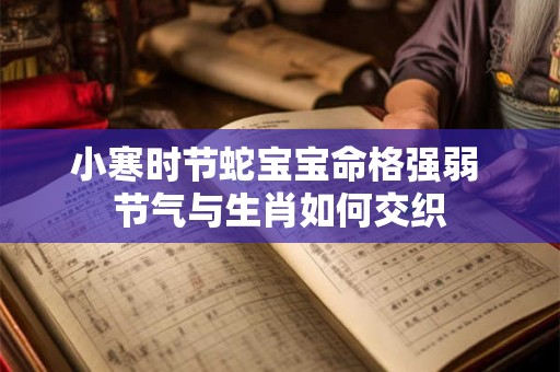 小寒时节蛇宝宝命格强弱 节气与生肖如何交织