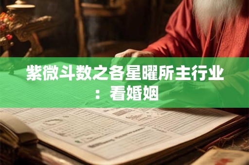 紫微斗数之各星曜所主行业：看婚姻