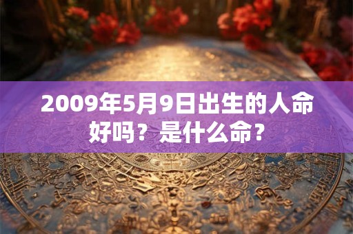 2009年5月9日出生的人命好吗？是什么命？
