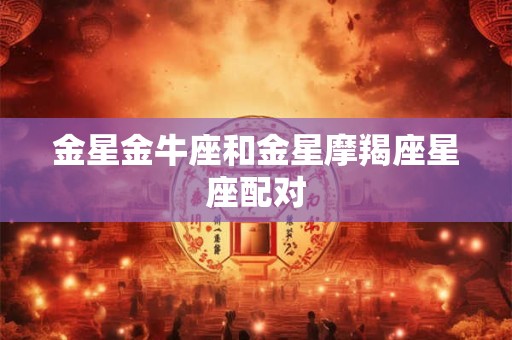 金星金牛座和金星摩羯座星座配对