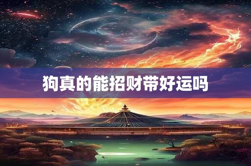 狗真的能招财带好运吗