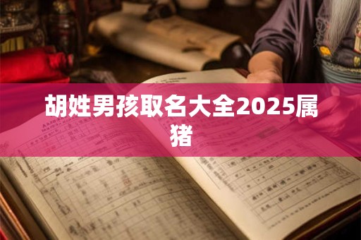 胡姓男孩取名大全2025属猪