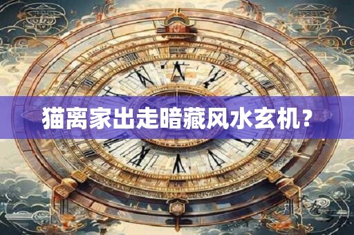 猫离家出走暗藏风水玄机？