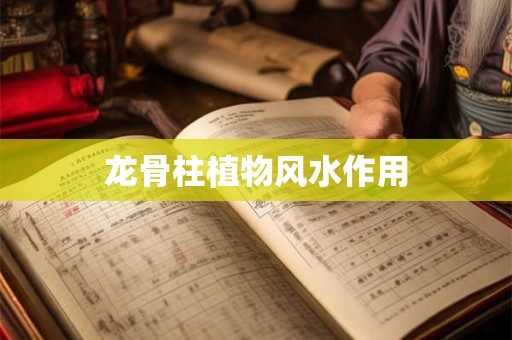 龙骨柱植物风水作用
