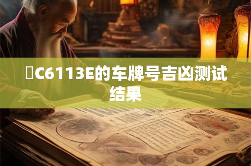魯C6113E的车牌号吉凶测试结果