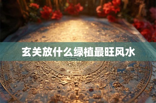 玄关放什么绿植最旺风水