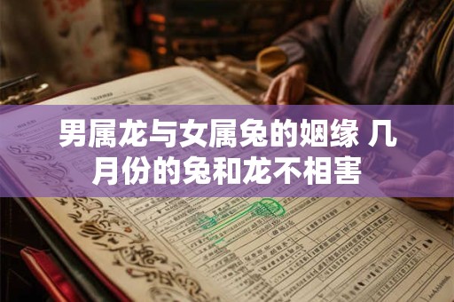 男属龙与女属兔的姻缘 几月份的兔和龙不相害