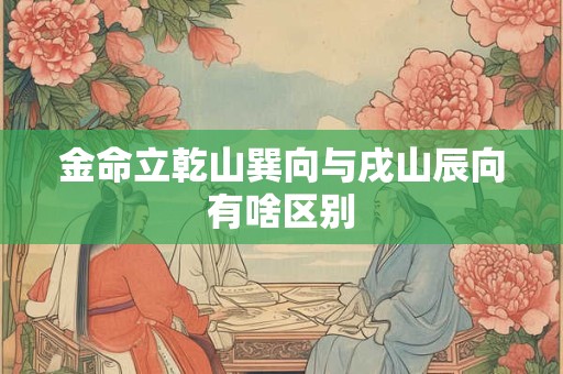 金命立乾山巽向与戌山辰向有啥区别