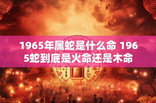 1965年属蛇是什么命 1965蛇到底是火命还是木命