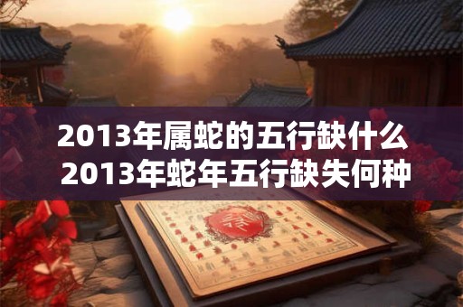 2013年属蛇的五行缺什么 2013年蛇年五行缺失何种元素