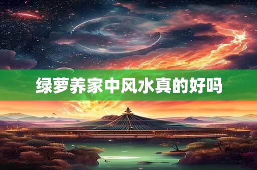 绿萝养家中风水真的好吗 绿萝养家中风水真的好吗