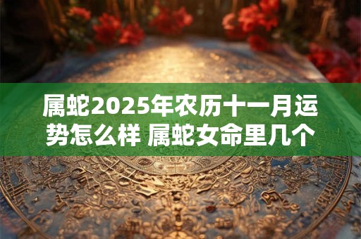 属蛇2025年农历十一月运势怎么样 属蛇女命里几个孩子 属蛇2025年农历十一月运势怎么样 属蛇女命里几个孩子