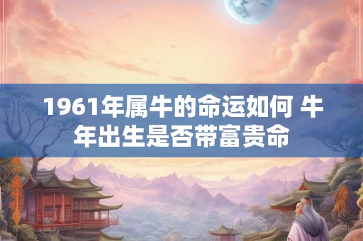 1961年属牛的命运如何 牛年出生是否带富贵命