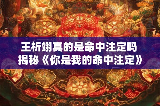 王析翊真的是命中注定吗 揭秘《你是我的命中注定》中的爱情真相