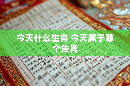 今天什么生肖 今天属于哪个生肖 今天什么生肖 今天属于哪个生肖