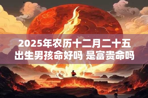 2025年农历十二月二十五出生男孩命好吗 是富贵命吗 2025年农历十二月二十五出生男孩命好吗 是富贵命吗