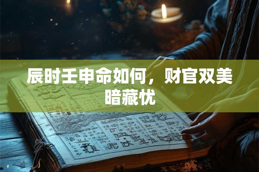辰时壬申命如何，财官双美暗藏忧
